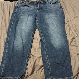 American Eagle Outfitters Blue Denim Shorts